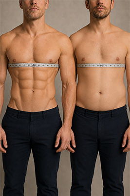 Two masculine male torsos with the same chest measurement but different body proportions